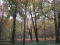 Kliknij zdjęcie aby otworzyć