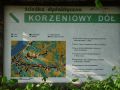 Kliknij zdjęcie aby otworzyć